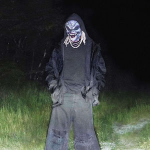 Meet your Posher, Allan